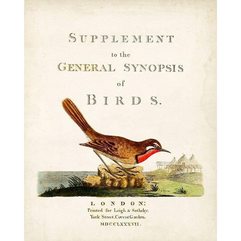General Synopsis of Birds Gold Ornate Wood Framed Art Print with Double Matting by Latham, John