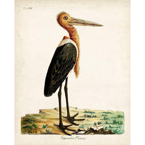 Gigantic Crane Black Modern Wood Framed Art Print by Latham, John