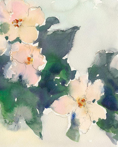 Peach Blooms I White Modern Wood Framed Art Print with Double Matting by Dixon, Samuel