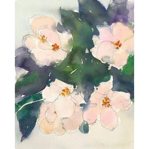 Peach Blooms II Black Modern Wood Framed Art Print with Double Matting by Dixon, Samuel
