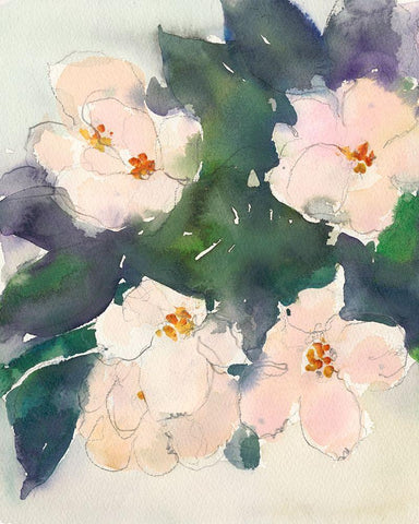 Peach Blooms II White Modern Wood Framed Art Print with Double Matting by Dixon, Samuel