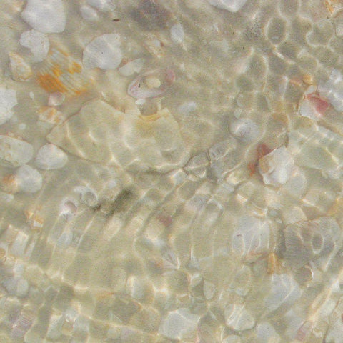 Shell Squares I Black Modern Wood Framed Art Print with Double Matting by Ilosky, Pam