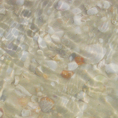 Shell Squares II White Modern Wood Framed Art Print by Ilosky, Pam