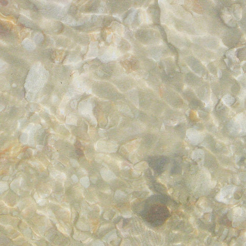 Shell Squares IV White Modern Wood Framed Art Print with Double Matting by Ilosky, Pam