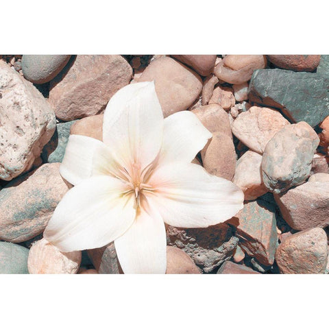 Pebble Beach I White Modern Wood Framed Art Print by Johnson, Jason