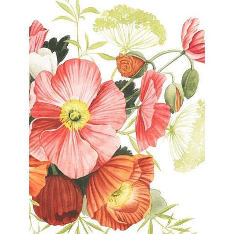 Blossom Solstice I Black Modern Wood Framed Art Print with Double Matting by Popp, Grace