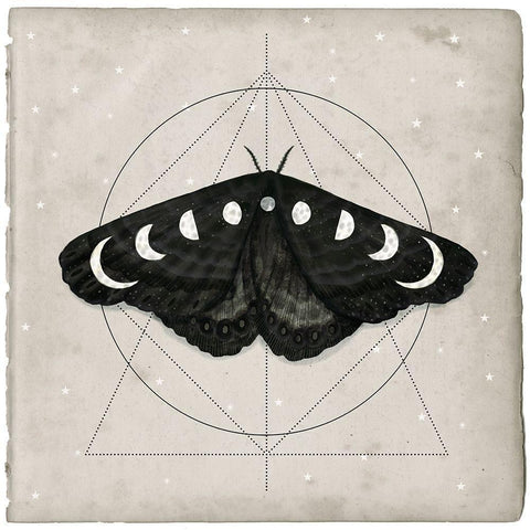 Midnight Moth I Black Ornate Wood Framed Art Print with Double Matting by Borges, Victoria