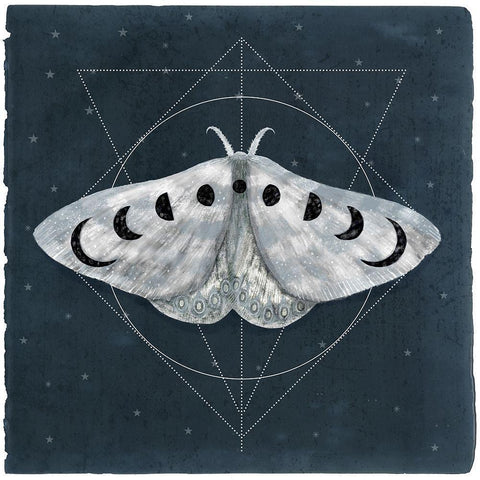 Midnight Moth II White Modern Wood Framed Art Print by Borges, Victoria