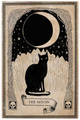 Fortune Tarot II Black Ornate Wood Framed Art Print with Double Matting by Borges, Victoria