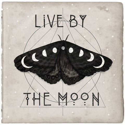 Live by the Moon I White Modern Wood Framed Art Print with Double Matting by Borges, Victoria