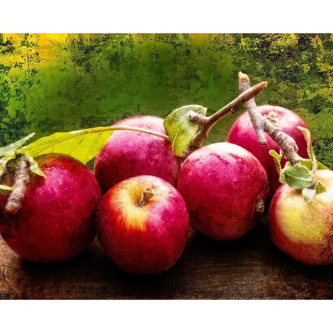 The Harvest I White Modern Wood Framed Art Print by Perry, Rachel