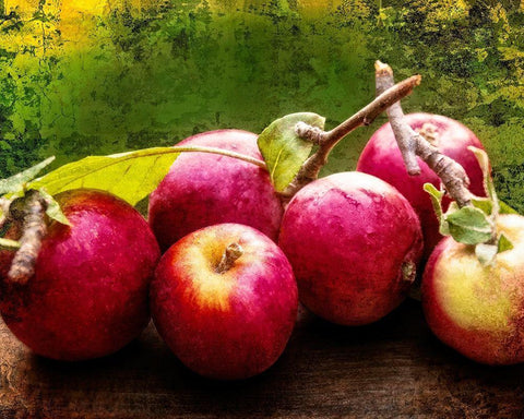 The Harvest I Black Ornate Wood Framed Art Print with Double Matting by Perry, Rachel