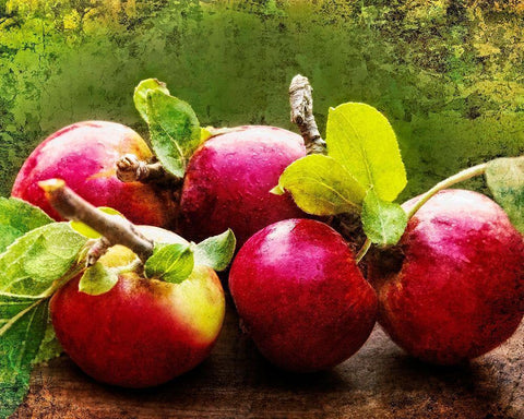 The Harvest II Black Ornate Wood Framed Art Print with Double Matting by Perry, Rachel