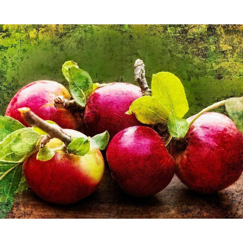 The Harvest II Black Modern Wood Framed Art Print with Double Matting by Perry, Rachel