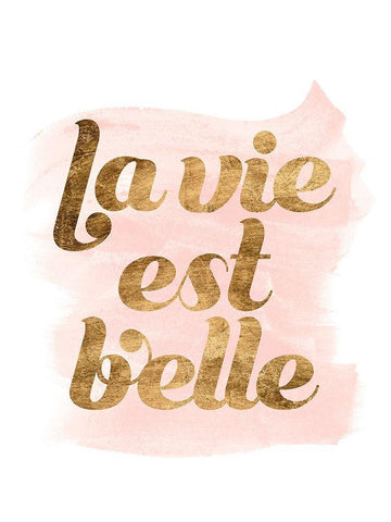 La Vie in Pink III White Modern Wood Framed Art Print with Double Matting by Popp, Grace