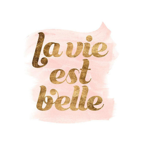 La Vie in Pink III Black Modern Wood Framed Art Print with Double Matting by Popp, Grace