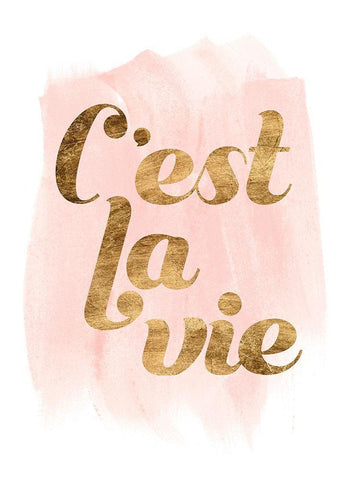 La Vie in Pink IV Black Ornate Wood Framed Art Print with Double Matting by Popp, Grace