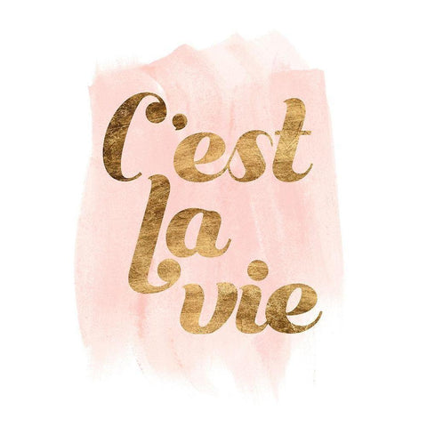 La Vie in Pink IV Black Modern Wood Framed Art Print with Double Matting by Popp, Grace