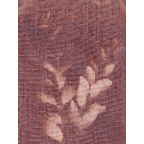 Botanical Sun II Black Modern Wood Framed Art Print with Double Matting by Sizemore, Natalie