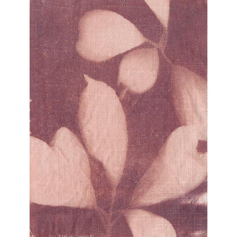 Botanical Sun III Gold Ornate Wood Framed Art Print with Double Matting by Sizemore, Natalie