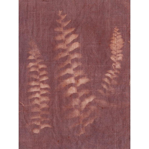 Botanical Sun IV Black Modern Wood Framed Art Print with Double Matting by Sizemore, Natalie