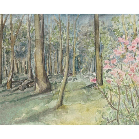 Virginia Woods I Black Modern Wood Framed Art Print with Double Matting by Chabot, Natasha