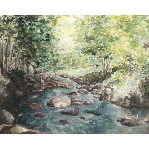 Virginia Woods IV Black Modern Wood Framed Art Print with Double Matting by Chabot, Natasha