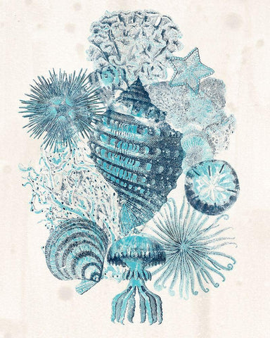 Coastal Melange II Black Ornate Wood Framed Art Print with Double Matting by Vess, June Erica