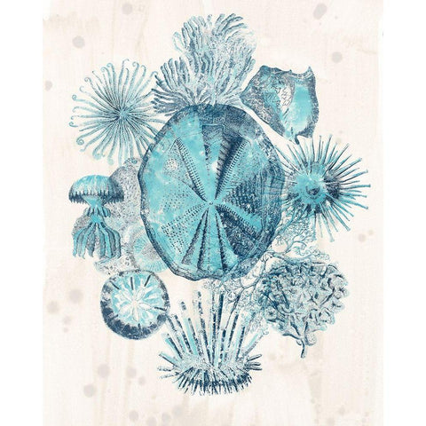 Coastal Melange IV Black Modern Wood Framed Art Print by Vess, June Erica