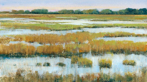 Serene Marshland I White Modern Wood Framed Art Print with Double Matting by OToole, Tim