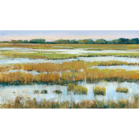 Serene Marshland I Black Modern Wood Framed Art Print with Double Matting by OToole, Tim