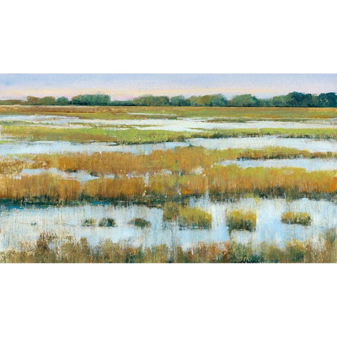 Serene Marshland I White Modern Wood Framed Art Print by OToole, Tim