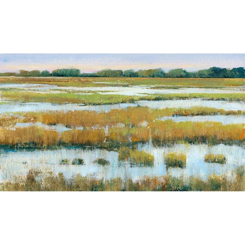 Serene Marshland I Gold Ornate Wood Framed Art Print with Double Matting by OToole, Tim