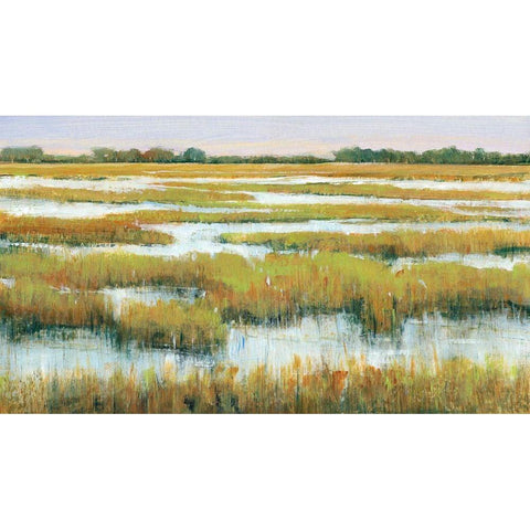 Serene Marshland II Black Modern Wood Framed Art Print with Double Matting by OToole, Tim