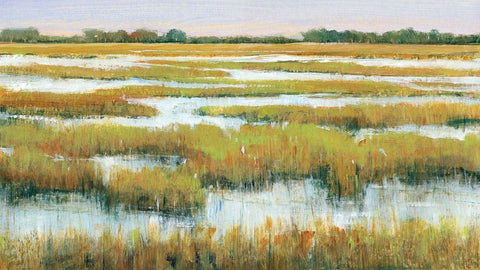 Serene Marshland II White Modern Wood Framed Art Print with Double Matting by OToole, Tim