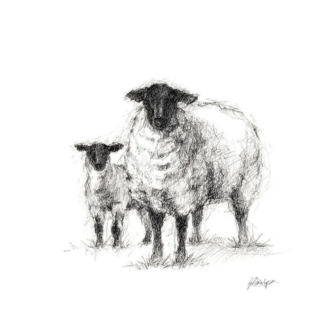 Charcoal Sheep Study I White Modern Wood Framed Art Print by Harper, Ethan