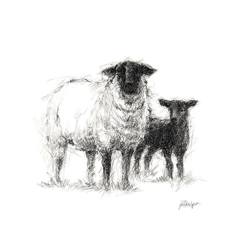 Charcoal Sheep Study II White Modern Wood Framed Art Print by Harper, Ethan