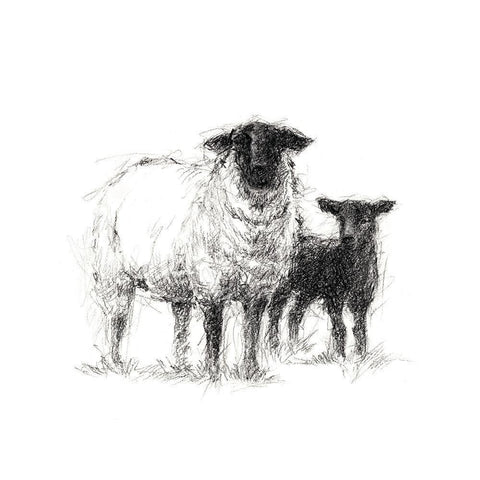 Charcoal Sheep Study II Gold Ornate Wood Framed Art Print with Double Matting by Harper, Ethan