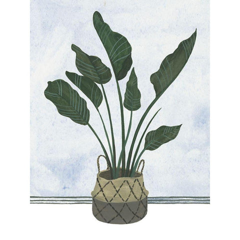 Mes Plants III White Modern Wood Framed Art Print by Wang, Melissa