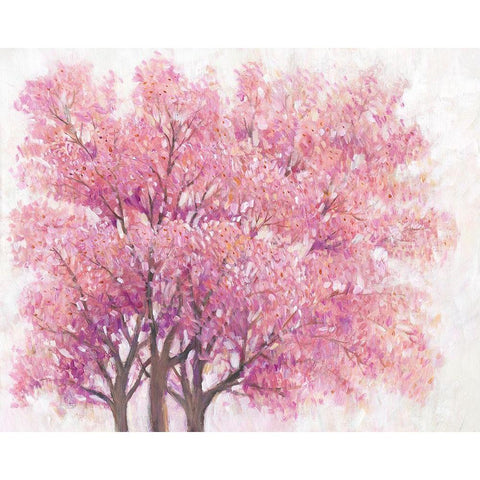 Pink Cherry Blossom Tree I White Modern Wood Framed Art Print by OToole, Tim