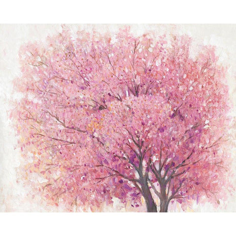 Pink Cherry Blossom Tree II Black Modern Wood Framed Art Print with Double Matting by OToole, Tim