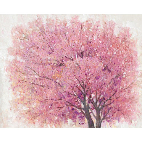 Pink Cherry Blossom Tree II White Modern Wood Framed Art Print by OToole, Tim