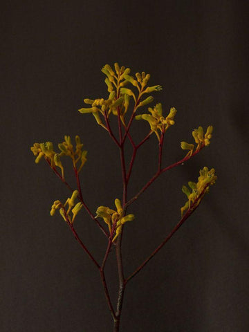 Dark and Dreamy IV Black Ornate Wood Framed Art Print with Double Matting by Stramel, Renee W.