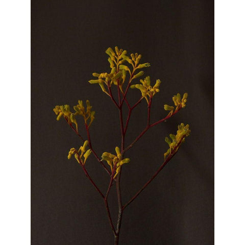 Dark and Dreamy IV Black Modern Wood Framed Art Print with Double Matting by Stramel, Renee W.