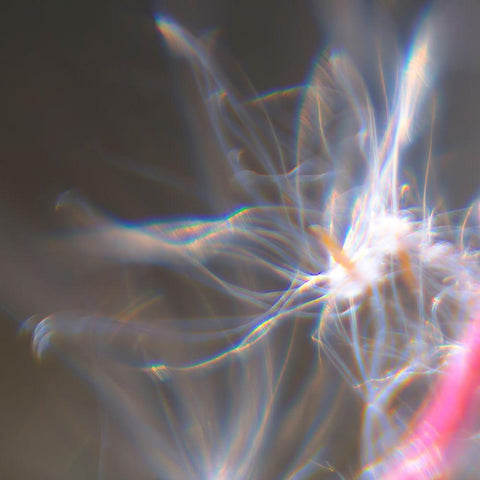 Fairy Dance IV White Modern Wood Framed Art Print with Double Matting by Hunt, Gillian