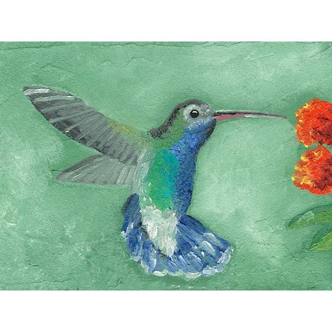 Fresco Hummingbird I Black Modern Wood Framed Art Print with Double Matting by Ludwig, Alicia