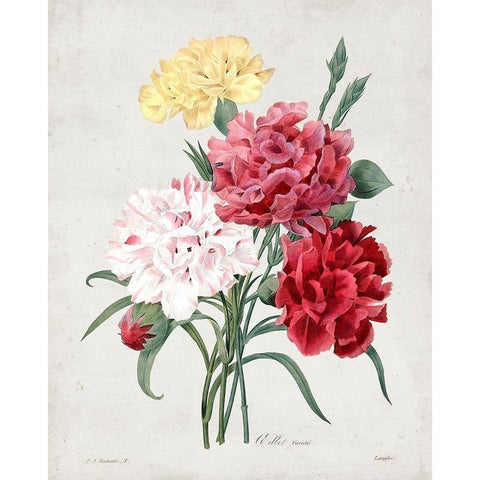 Redoute Bouquet I Gold Ornate Wood Framed Art Print with Double Matting by Redoute, Pierre