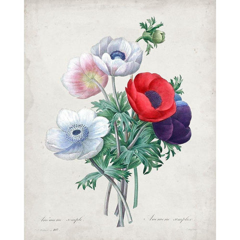 Redoute Bouquet II Gold Ornate Wood Framed Art Print with Double Matting by Redoute, Pierre