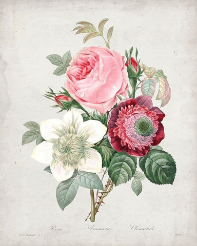 Redoute Bouquet IV Black Ornate Wood Framed Art Print with Double Matting by Redoute, Pierre