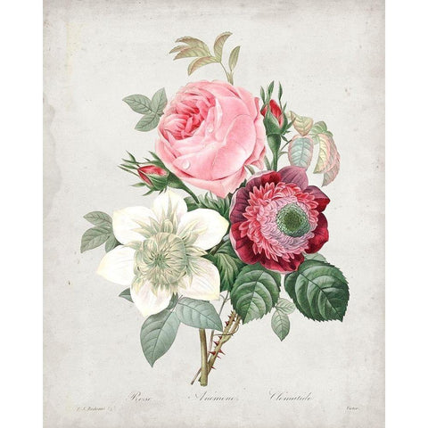 Redoute Bouquet IV Black Modern Wood Framed Art Print by Redoute, Pierre